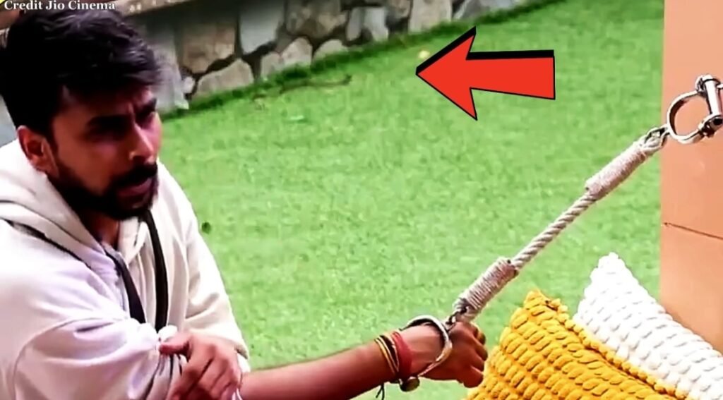 Snake in bigg boss house 